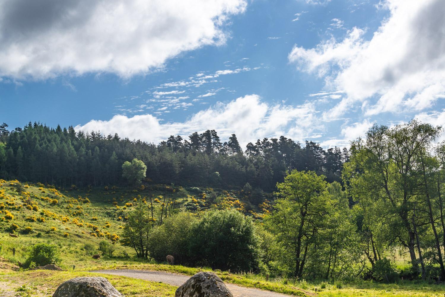 Gite De La Grange - Domaine De Coulagnettes Serverette Exteriör bild